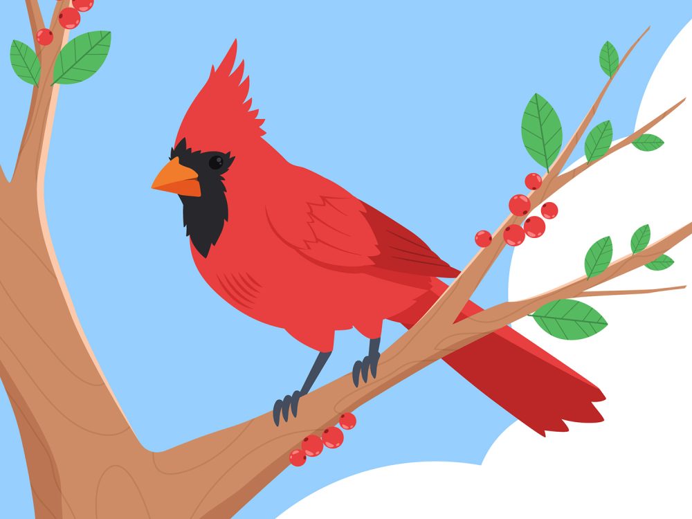 Flat Design Cardinal Bird Illustration