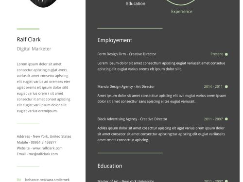 Infographic Resume Template