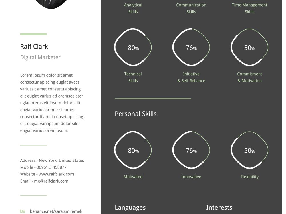 Infographic Resume Template