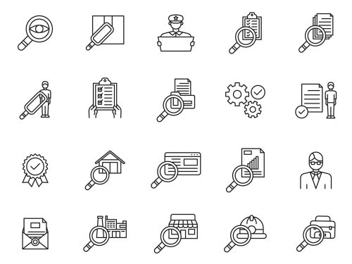 Inspection Vector Icons