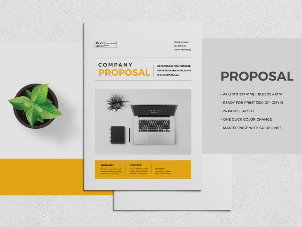 Professional Proposal Template