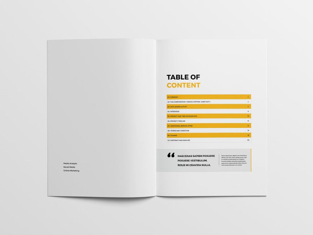 Professional Proposal Template