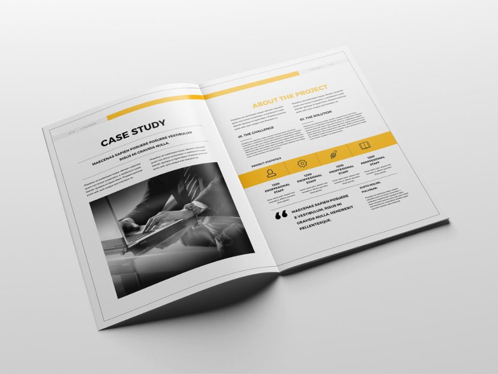 Professional Proposal Template