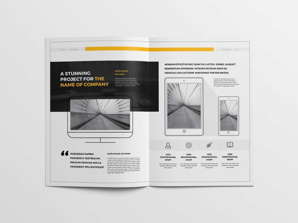 Professional Proposal Template