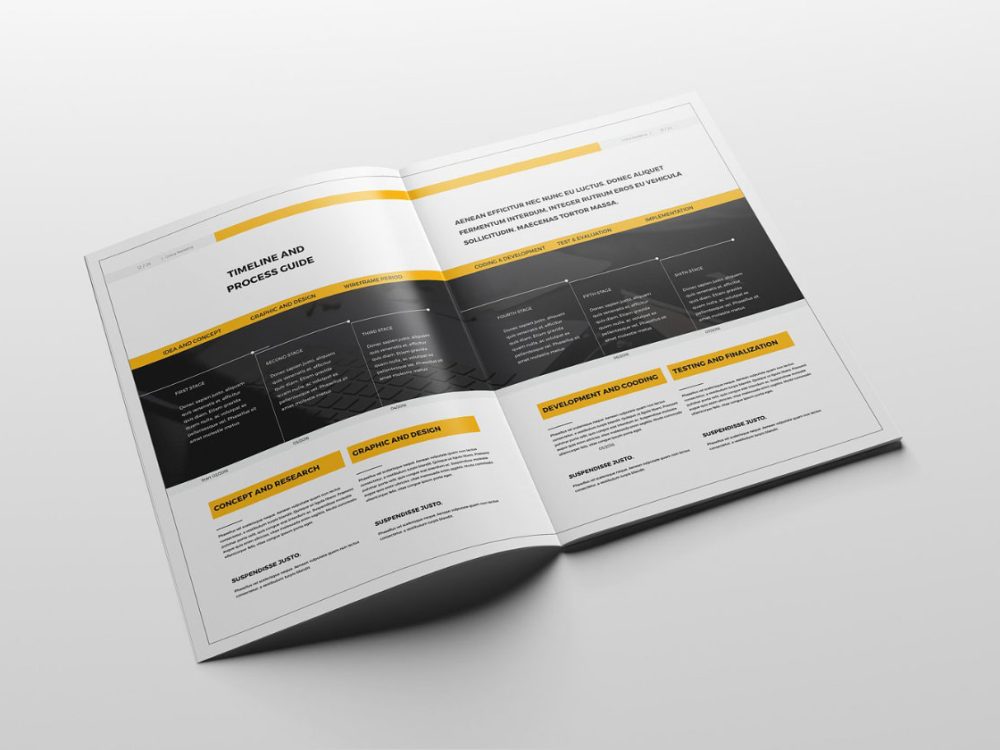 Professional Proposal Template