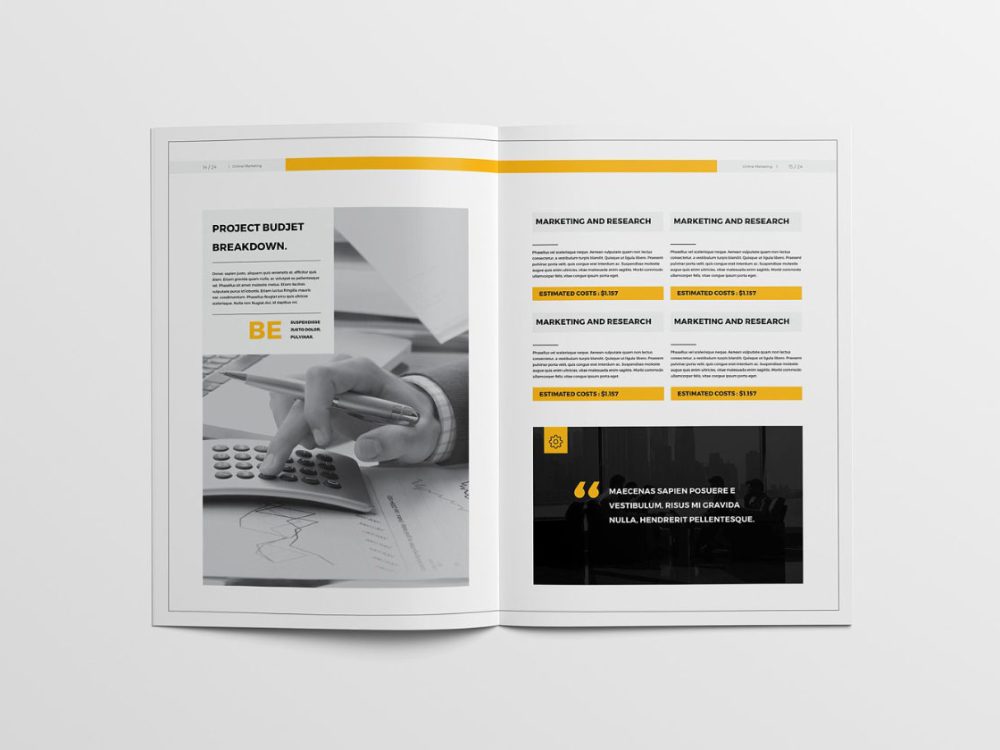 Professional Proposal Template