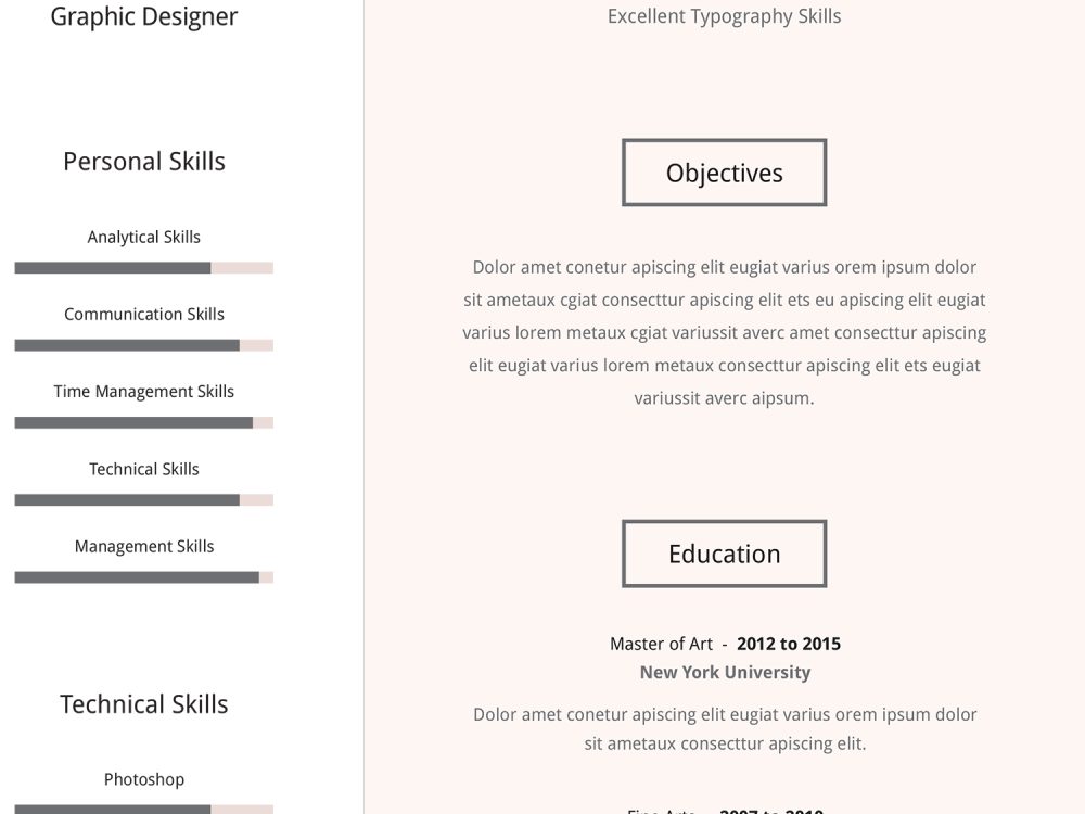 Professional Resume Template