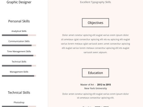 Professional Resume Template