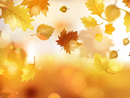 Realistic Vector Autumn Leaves Background