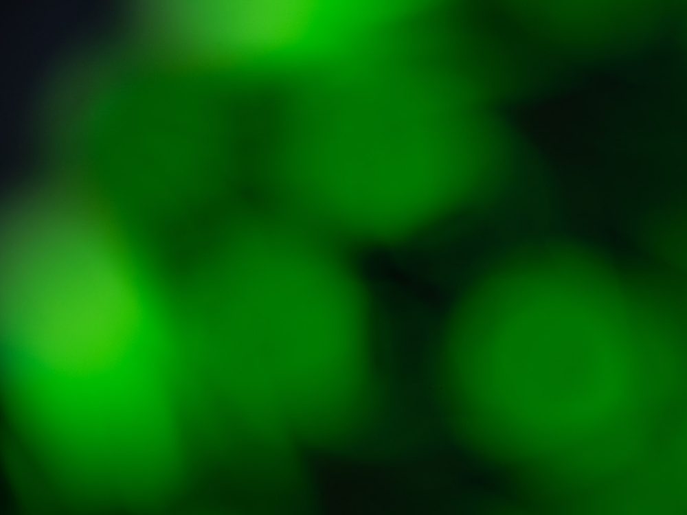 Artistic Green Blurry Colorful Background