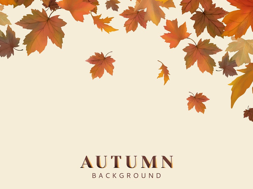 Autumn Leaves Background