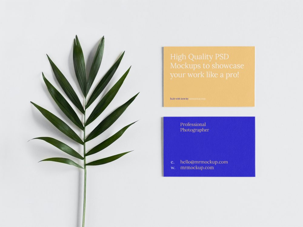 Business Card with Leaf Free Mockup
