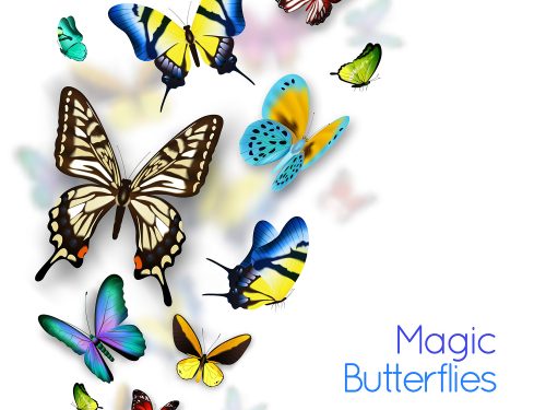 Colorful Magic Butterflies Illustration