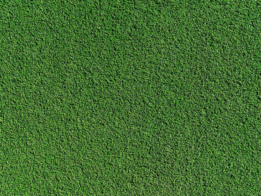 Grass Soccer Field Texture