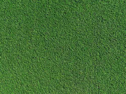 Grass Soccer Field Texture