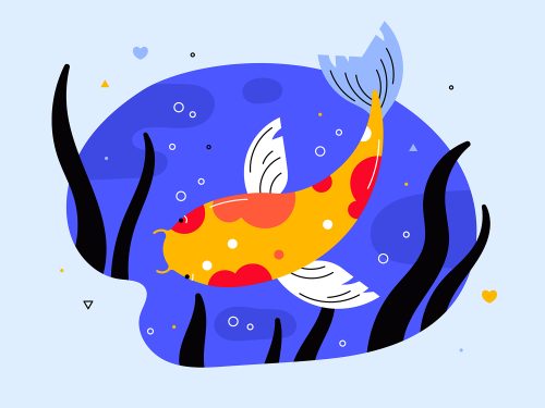 Hand Drawn Koi Fish Illustration