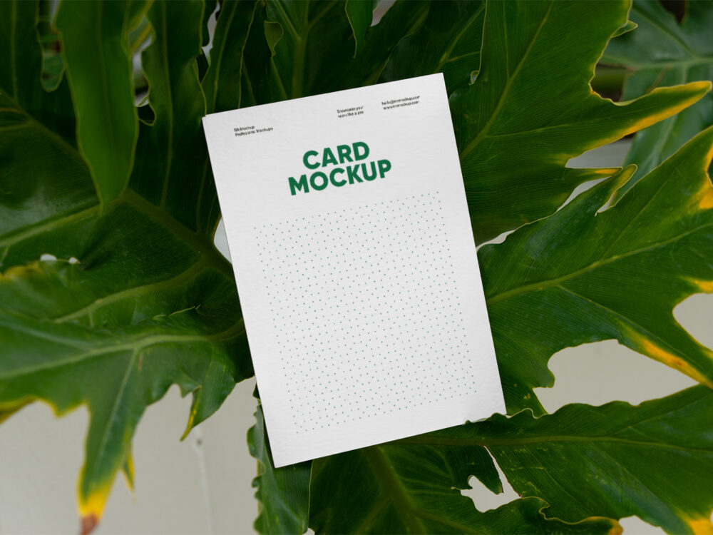 Card beetwen Ficus Free Mockup