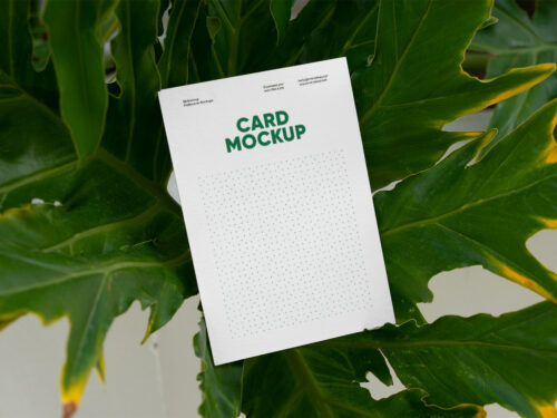 Card beetwen Ficus Free Mockup
